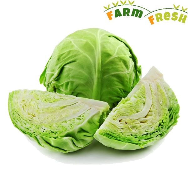 Cabbage