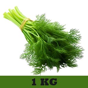 Dill Leaves (સવા ભાજી) 1 KG