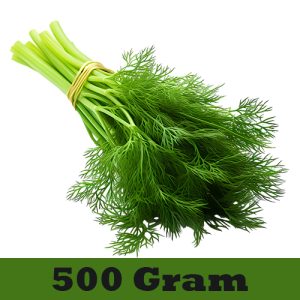 Dill Leaves (સવા ભાજી) 500 Gram