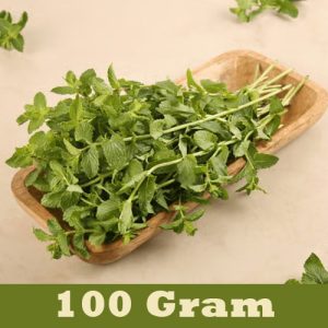 Mint leaves 100 Gram