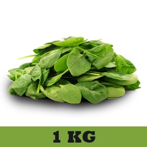 Spinach Leaves (પાલક ભાજી) 1 KG