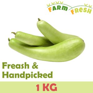 Bottle Gaurd 1 KG