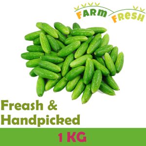 Tindola 1 KG
