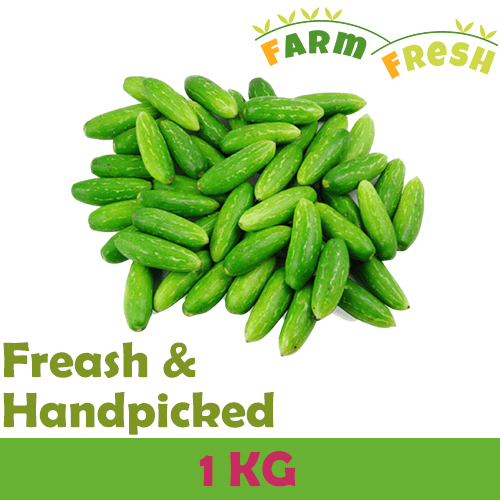 Tindola 1 KG